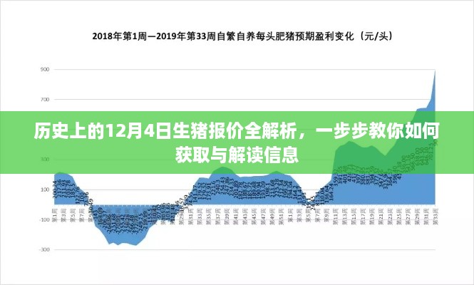 历史上的12月4日生猪报价深度解析，获取与解读信息的实用指南