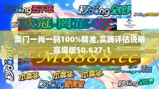 澳门一肖一码100%精准,实践评估说明_高级版50.627-1