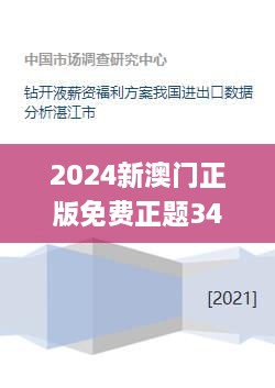 2024新澳门正版免费正题340期,实地考察数据设计_钻石版20.528-9