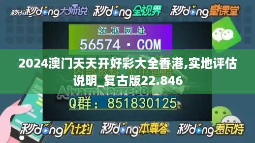 2024澳门天天开好彩大全香港,实地评估说明_复古版22.846