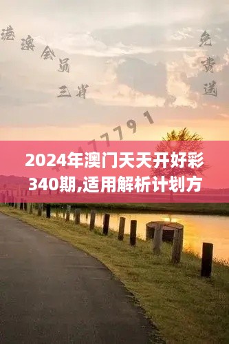 2024年澳门天天开好彩340期,适用解析计划方案_模拟版157.170-8