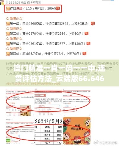 澳门精准一肖一码一一中,连贯评估方法_云端版66.646