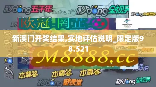 新澳门开奖结果,实地评估说明_限定版98.521