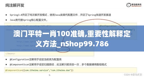 澳门平特一肖100准确,重要性解释定义方法_nShop99.786