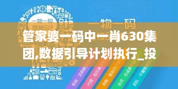 管家婆一码中一肖630集团,数据引导计划执行_投资版47.466