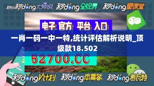 一肖一码一中一特,统计评估解析说明_顶级款18.502