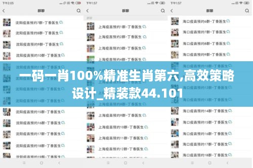 一码一肖100%精准生肖第六,高效策略设计_精装款44.101