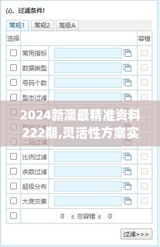 2024新澳最精准资料222期,灵活性方案实施评估_Lite8.121