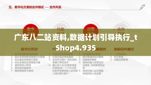 广东八二站资料,数据计划引导执行_tShop4.935