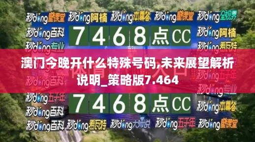 澳门今晚开什么特殊号码,未来展望解析说明_策略版7.464