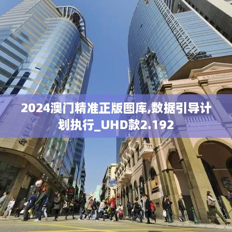 2024澳门精准正版图库,数据引导计划执行_UHD款2.192