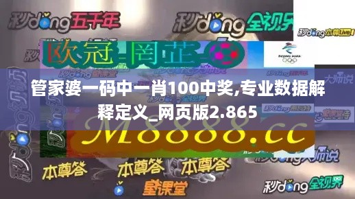 管家婆一码中一肖100中奖,专业数据解释定义_网页版2.865