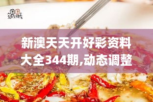 新澳天天开好彩资料大全344期,动态调整策略执行_限量版5.523