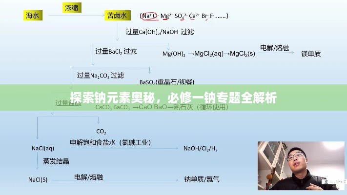 探索钠元素奥秘，必修一钠专题全解析