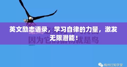 英文励志语录，学习自律的力量，激发无限潜能！