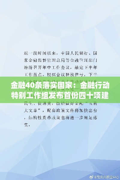 金融40条落实国家：金融行动特别工作组发布首份四十项建议 