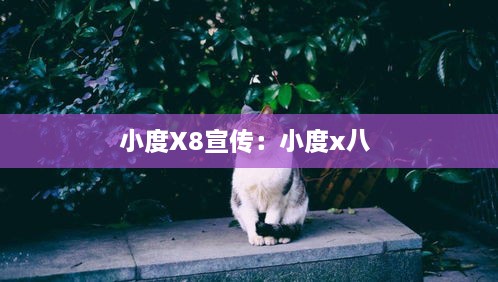 小度X8宣传：小度x八 