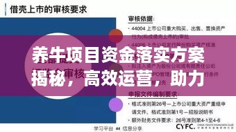 养牛项目资金落实方案揭秘，高效运营，助力产业腾飞！