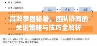 高效参团秘籍，团队协同的关键策略与技巧全解析