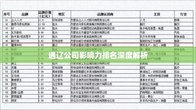 通辽公司影响力排名深度解析