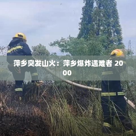 萍乡突发山火：萍乡爆炸遇难者 2000 