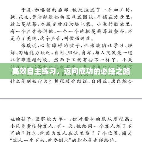 高效自主练习，迈向成功的必经之路