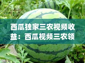 西瓜独家三农视频收益：西瓜视频三农领域还能做吗 