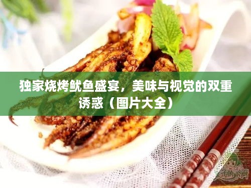 独家烧烤鱿鱼盛宴，美味与视觉的双重诱惑（图片大全）