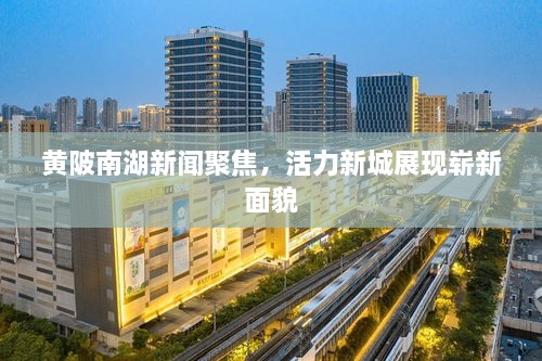 黄陂南湖新闻聚焦，活力新城展现崭新面貌