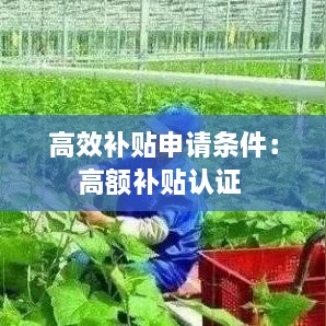 高效补贴申请条件：高额补贴认证 