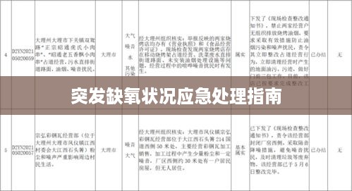 突发缺氧状况应急处理指南