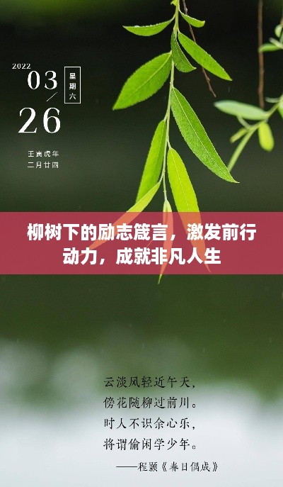 柳树下的励志箴言，激发前行动力，成就非凡人生