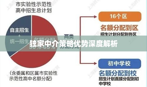 独家中介策略优势深度解析