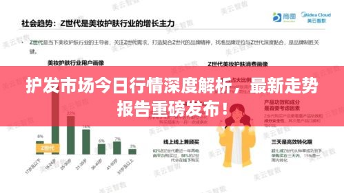 护发市场今日行情深度解析，最新走势报告重磅发布！