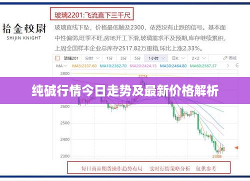 纯碱行情今日走势及最新价格解析