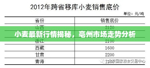 小麦最新行情揭秘，亳州市场走势分析