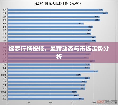 绿萝行情快报，最新动态与市场走势分析