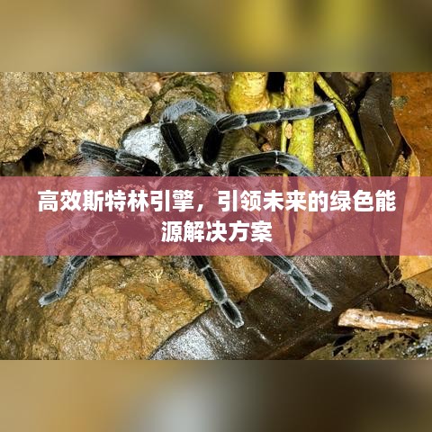 高效斯特林引擎，引领未来的绿色能源解决方案