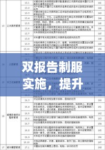 双报告制服实施，提升透明度与责任性的关键行动指南