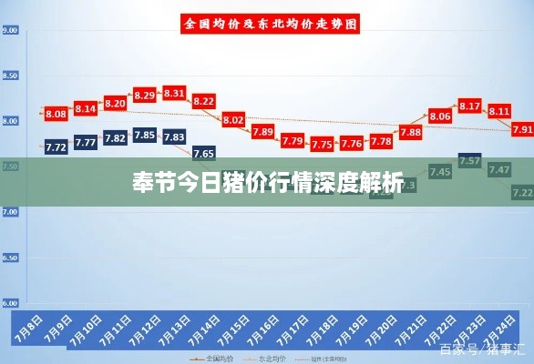 奉节今日猪价行情深度解析