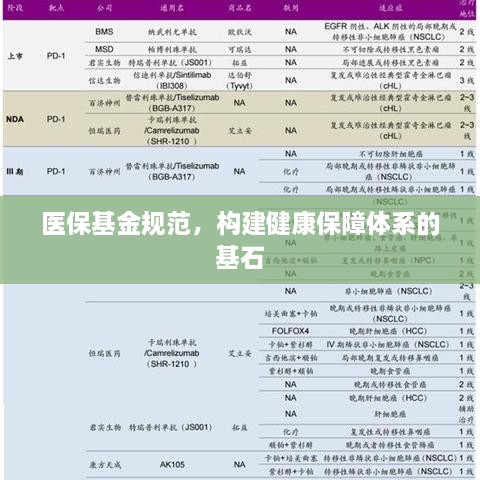 医保基金规范，构建健康保障体系的基石