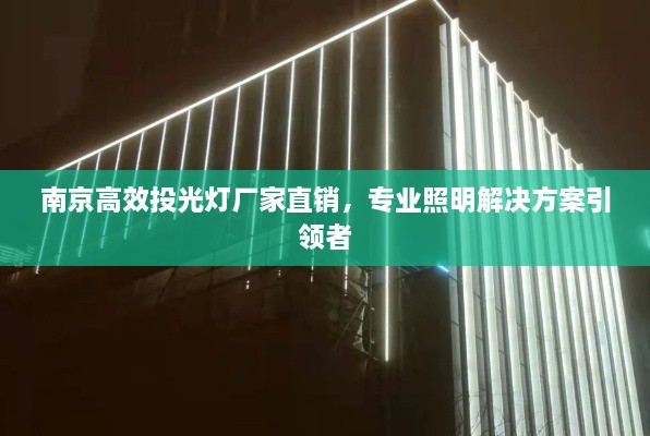 南京高效投光灯厂家直销，专业照明解决方案引领者