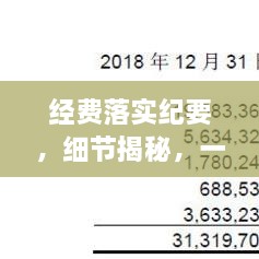 经费落实纪要，细节揭秘，一文掌握资金流动全貌！