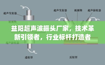 益阳超声波振头厂家，技术革新引领者，行业标杆打造者