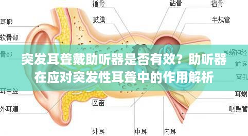 突发耳聋戴助听器是否有效？助听器在应对突发性耳聋中的作用解析