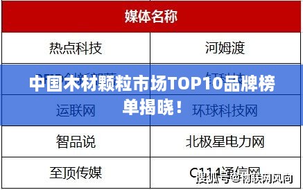 中国木材颗粒市场TOP10品牌榜单揭晓！