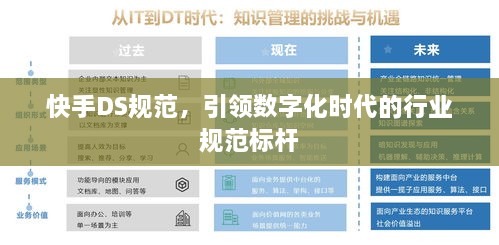 快手DS规范，引领数字化时代的行业规范标杆