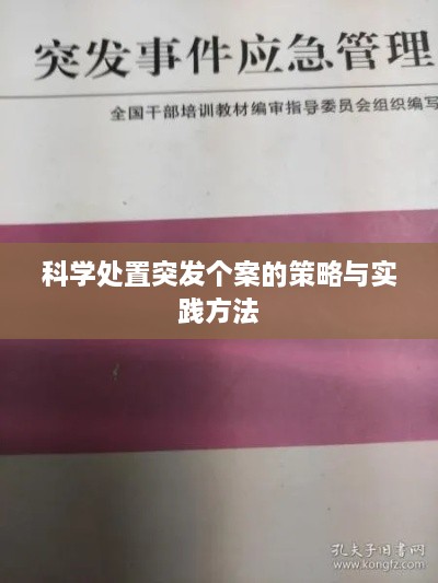 科学处置突发个案的策略与实践方法