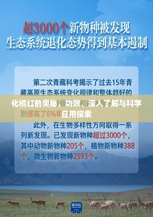 化橘红的奥秘，功效、深入了解与科学应用探索