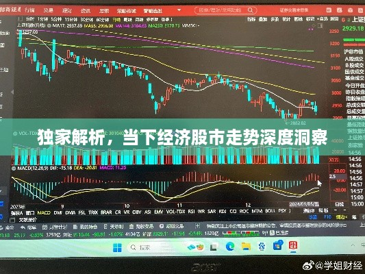 独家解析，当下经济股市走势深度洞察